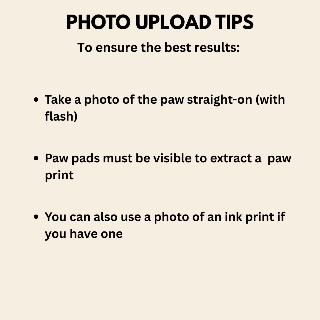 Real Paw Print Necklace